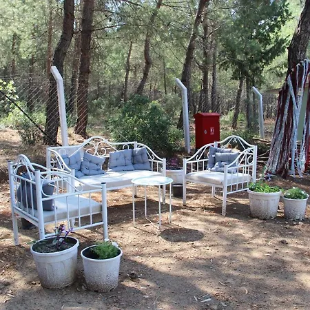 Serene Apart Surrounded By Nature In Kusadasi ベッド・アンド・ブレックファスト