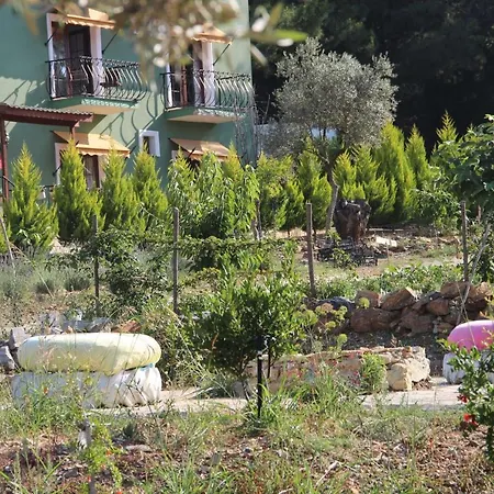 ベッド・アンド・ブレックファスト Serene Apart Surrounded By Nature In Kusadasi キラズリ